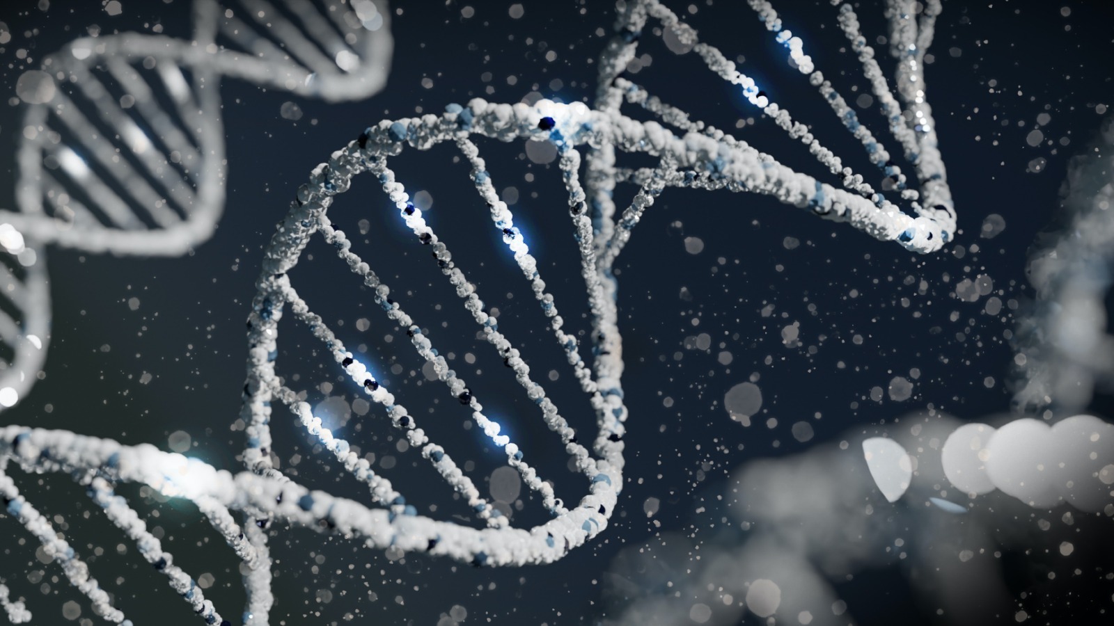 Should Bio-hacking be legal? Exploring the Possibilities and Risks.