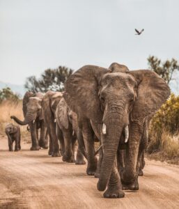 Uttar Pradesh Tourism